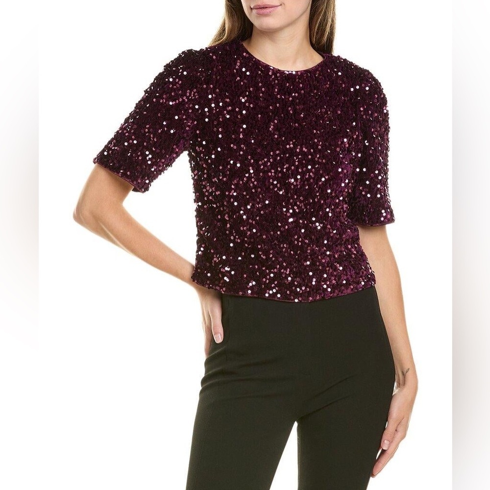 Nanette Nanette Lepore Short Sleeve Velvet Sequin Blouse -‎ Size S - Plum - NWT